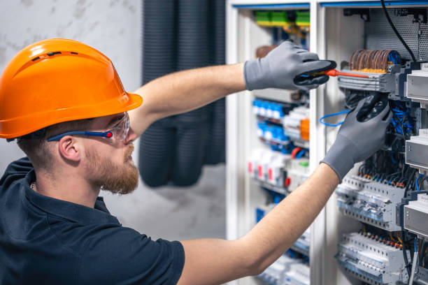 Best Electric Panel Repair  in Blackstone, VA